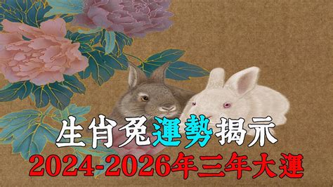 兔 運勢|【屬兔2024生肖運勢】是非多人氣旺，運勢漸入佳。